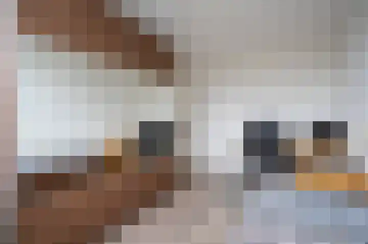 Meerenburg 16 Herwijnen thumbnail 22