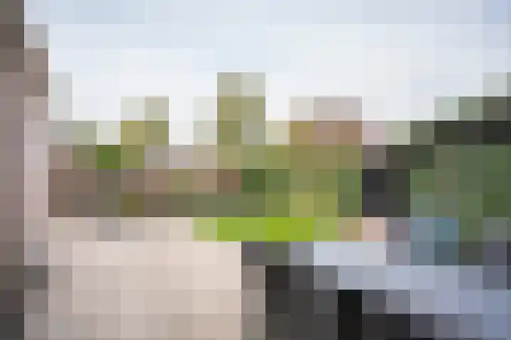 Meerenburg 16 Herwijnen thumbnail 32