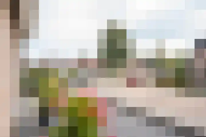 Meerenburg 16 Herwijnen thumbnail 36