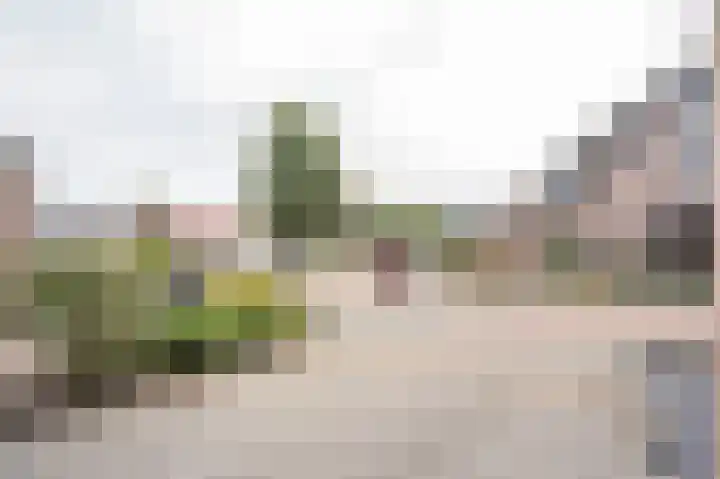 Meerenburg 16 Herwijnen thumbnail 37