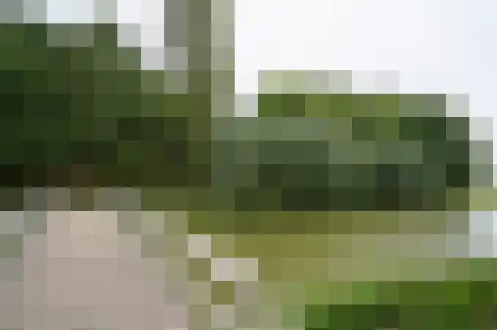 Meerenburg 16 Herwijnen thumbnail 6