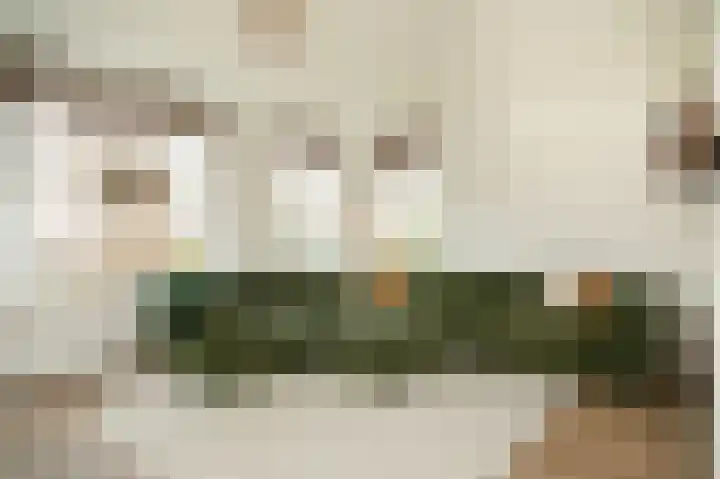 Meerenstraat 17 Alem thumbnail 10