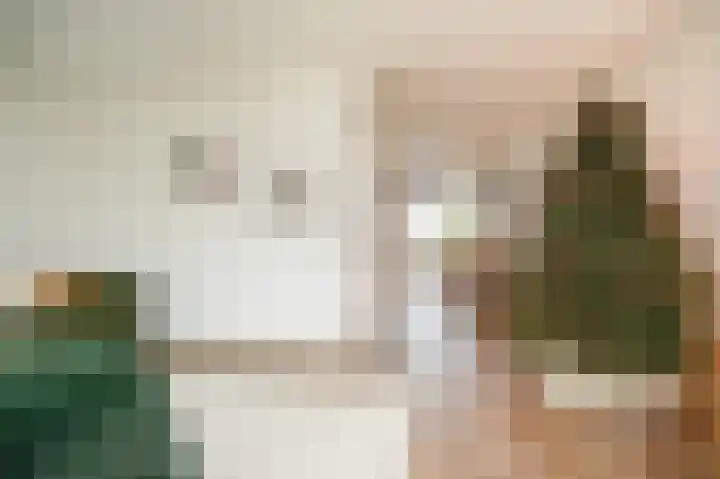 Meerenstraat 17 Alem thumbnail 11