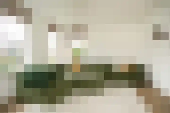 Meerenstraat 17 Alem thumbnail 13