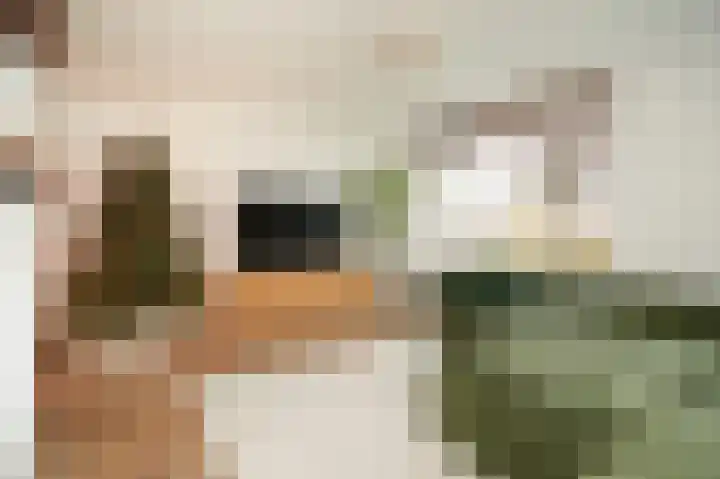 Meerenstraat 17 Alem thumbnail 14