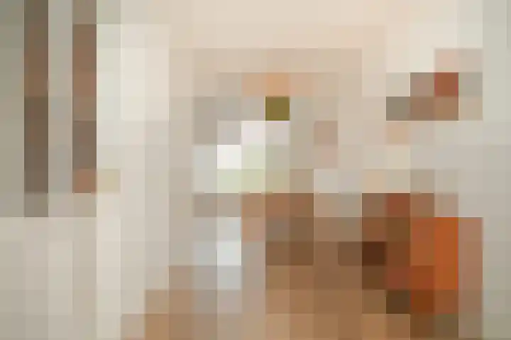 Meerenstraat 17 Alem thumbnail 16