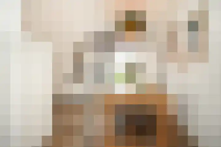 Meerenstraat 17 Alem thumbnail 17