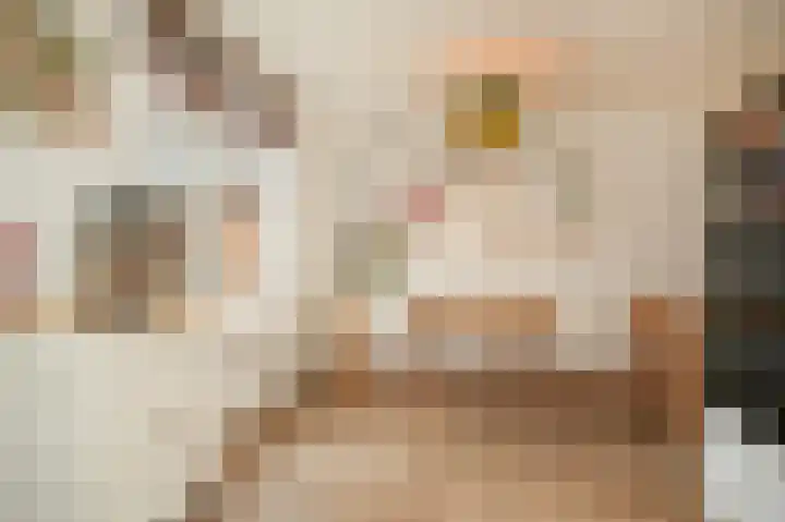 Meerenstraat 17 Alem thumbnail 22