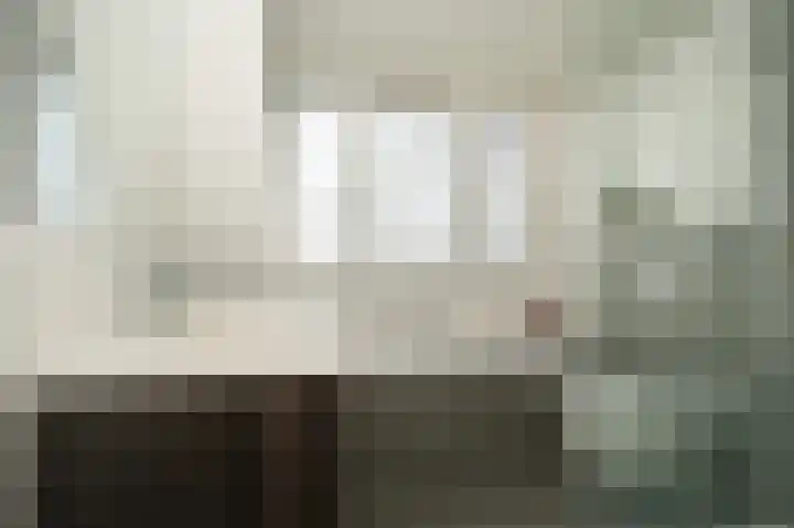 Meerenstraat 17 Alem thumbnail 31