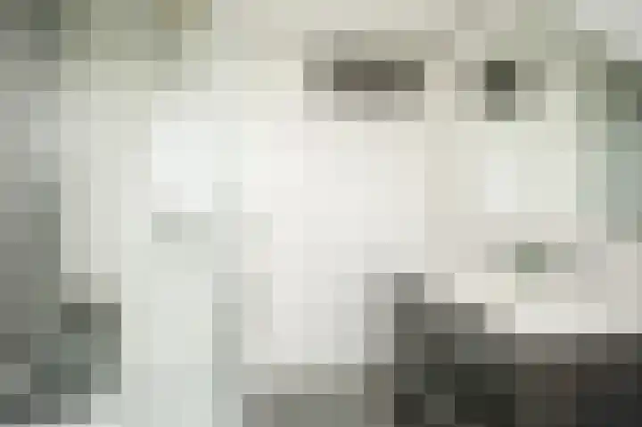 Meerenstraat 17 Alem thumbnail 33