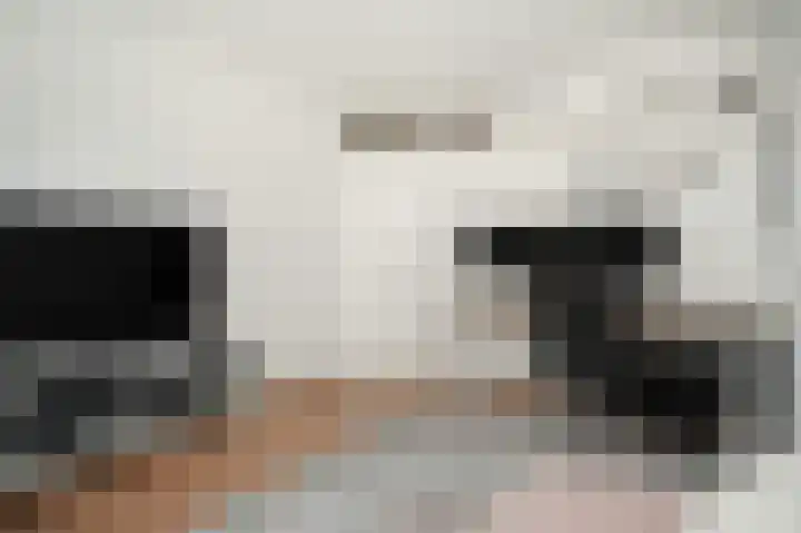Meerenstraat 17 Alem thumbnail 35