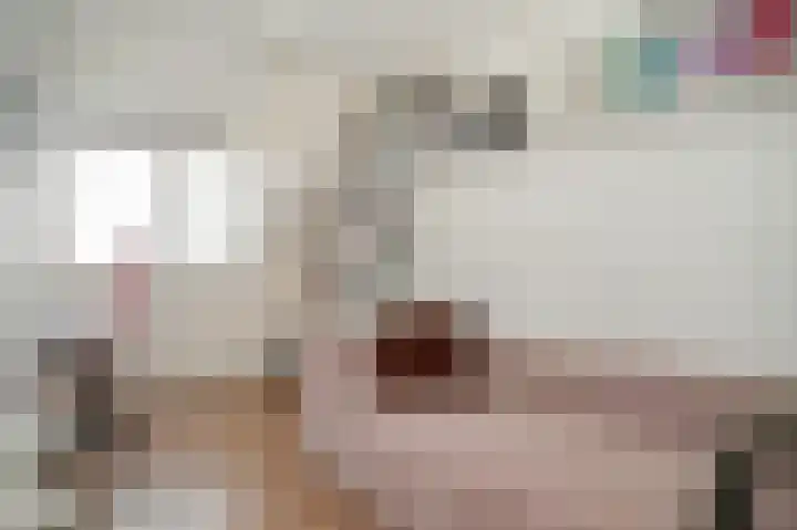 Meerenstraat 17 Alem thumbnail 36
