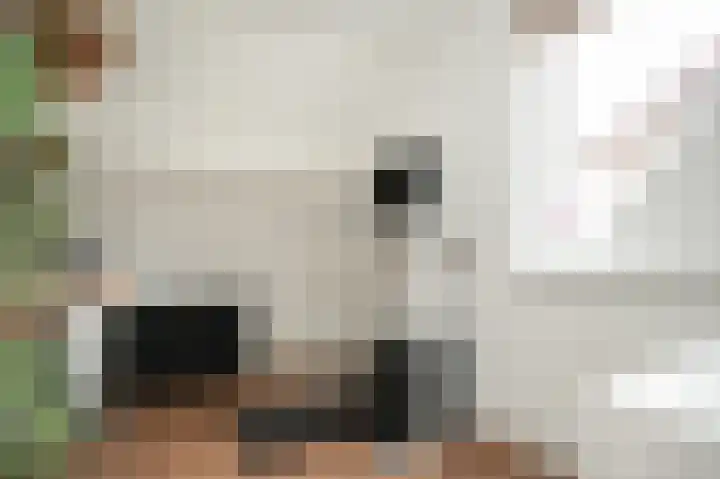Meerenstraat 17 Alem thumbnail 39