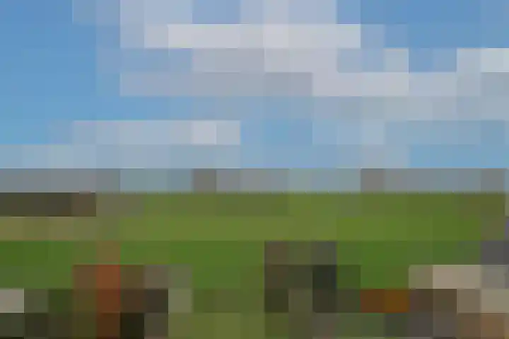 Meerenstraat 17 Alem thumbnail 45