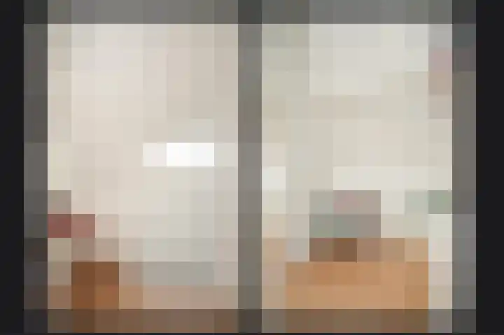 Meerenstraat 17 Alem thumbnail 46