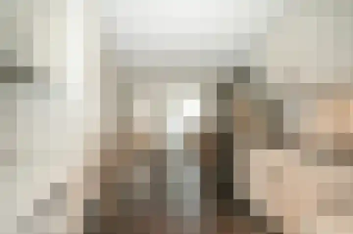 Meerenstraat 17 Alem thumbnail 47