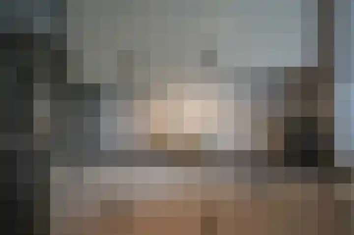 Meerenstraat 17 Alem thumbnail 48