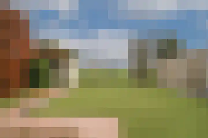 Meerenstraat 17 Alem thumbnail 50