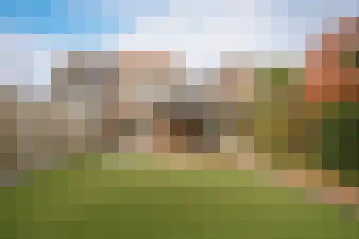 Meerenstraat 17 Alem thumbnail 51