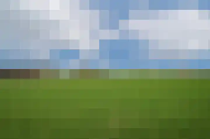 Meerenstraat 17 Alem thumbnail 56