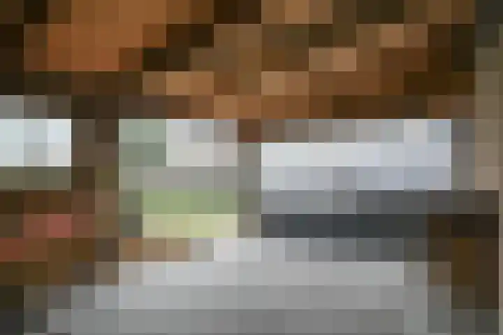 Meerenstraat 17 Alem thumbnail 59
