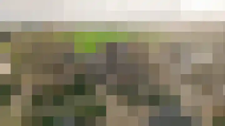 Meerenstraat 17 Alem thumbnail 6