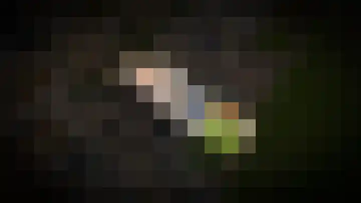Meerenstraat 17 Alem thumbnail 61