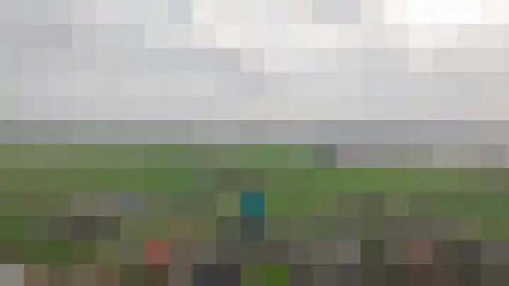Meerenstraat 17 Alem thumbnail 66