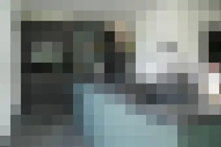 Meerenstraat 27 Alem thumbnail 10