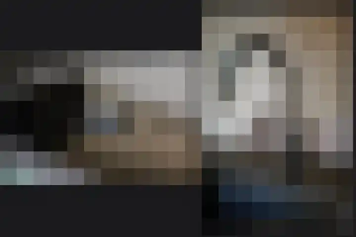 Meerenstraat 27 Alem thumbnail 11
