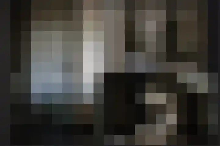 Meerenstraat 27 Alem thumbnail 13