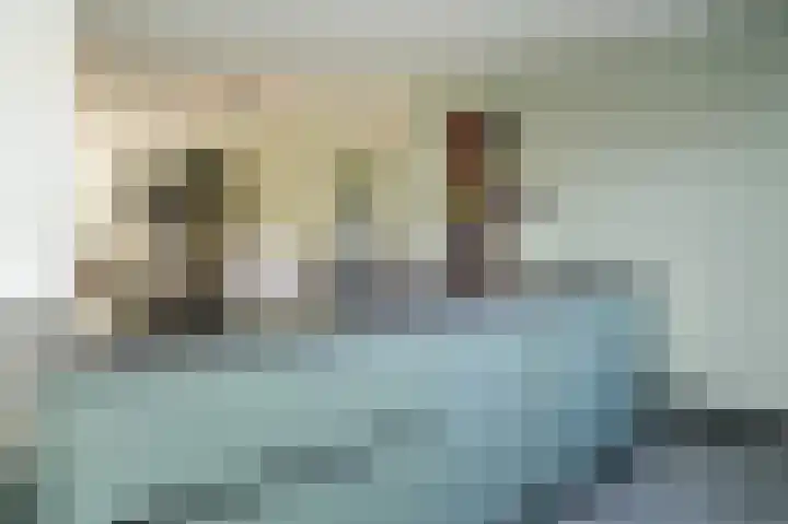 Meerenstraat 27 Alem thumbnail 14