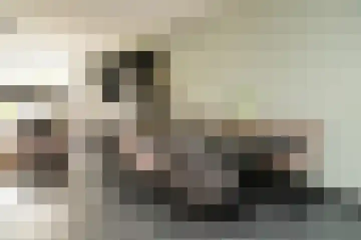 Meerenstraat 27 Alem thumbnail 15
