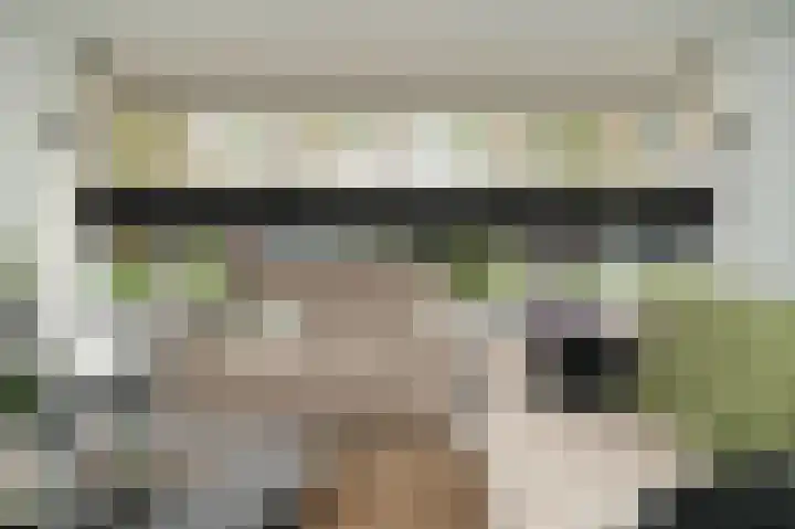 Meerenstraat 27 Alem thumbnail 17