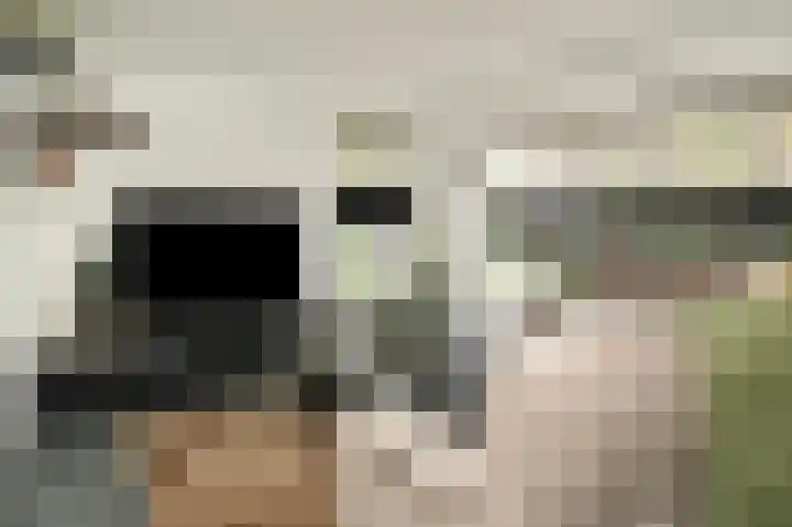 Meerenstraat 27 Alem thumbnail 18
