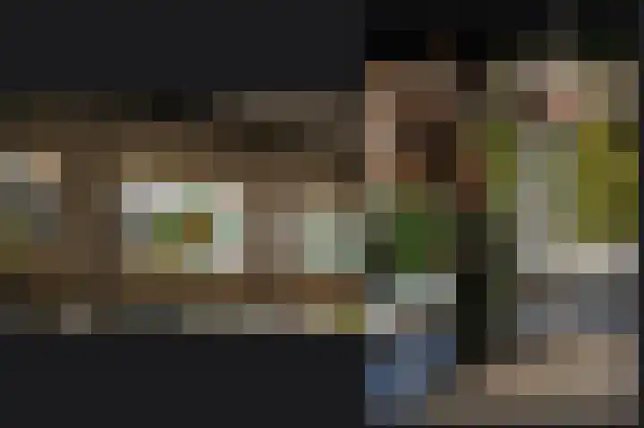 Meerenstraat 27 Alem thumbnail 19