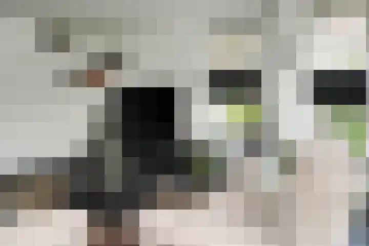 Meerenstraat 27 Alem thumbnail 20