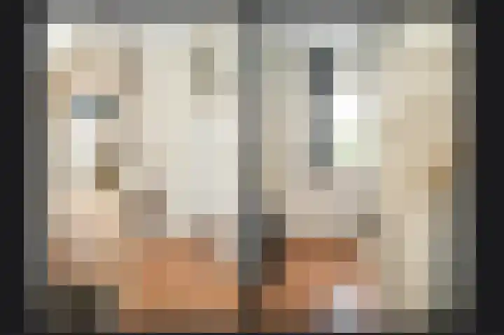 Meerenstraat 27 Alem thumbnail 22