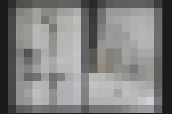 Meerenstraat 27 Alem thumbnail 26