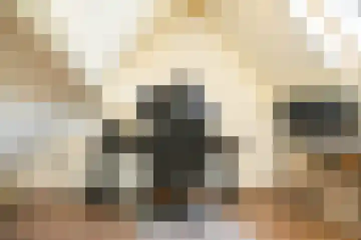 Meerenstraat 27 Alem thumbnail 30