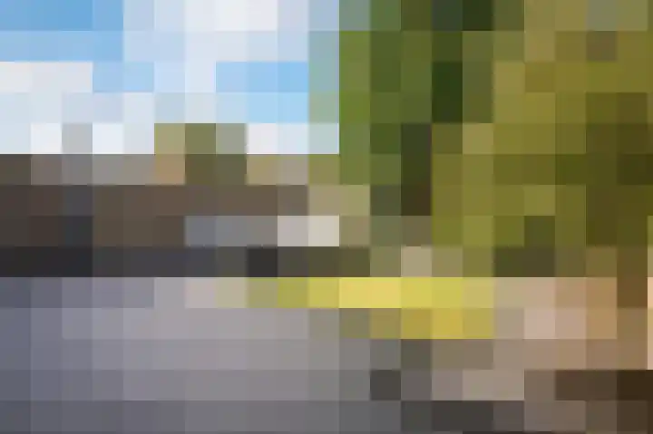 Meerenstraat 27 Alem thumbnail 31