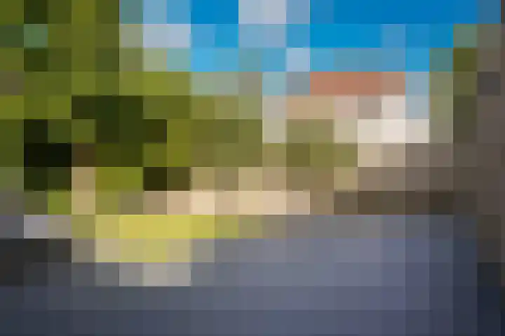 Meerenstraat 27 Alem thumbnail 33