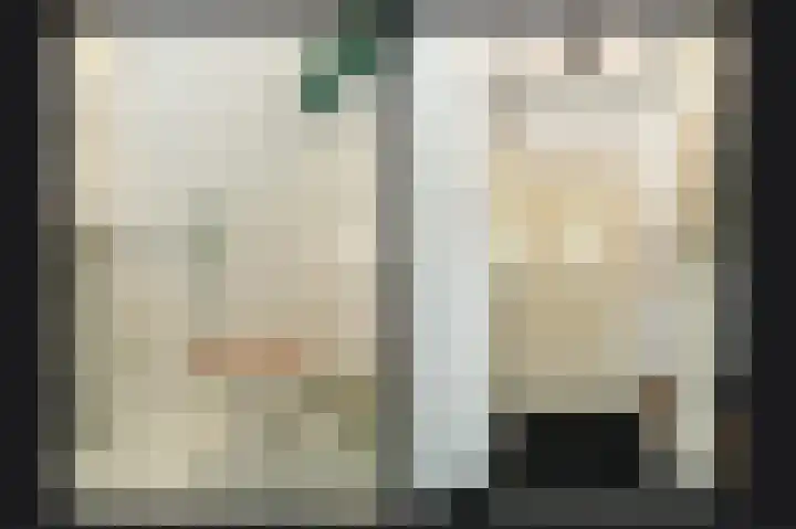 Meerenstraat 27 Alem thumbnail 5