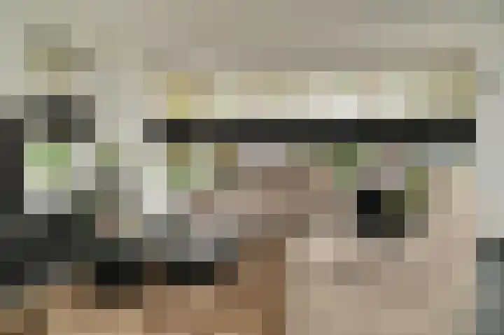 Meerenstraat 27 Alem thumbnail 6