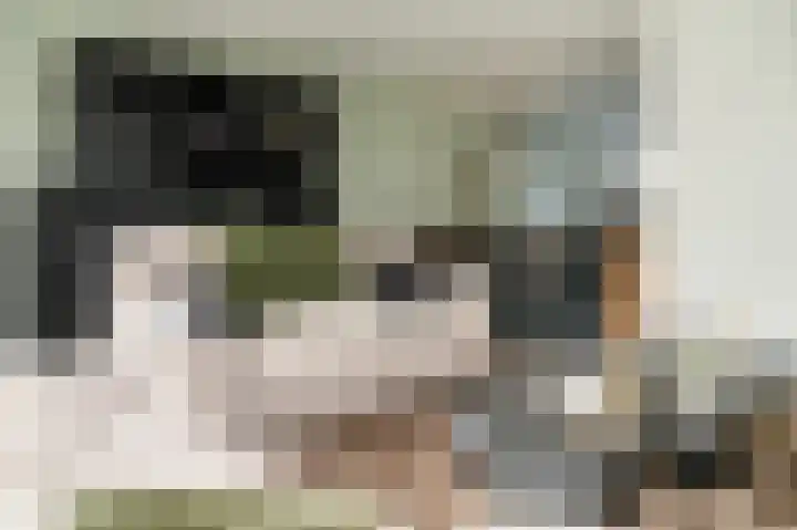 Meerenstraat 27 Alem thumbnail 7