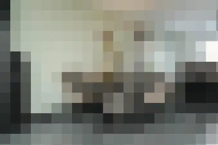 Meerenstraat 27 Alem thumbnail 8