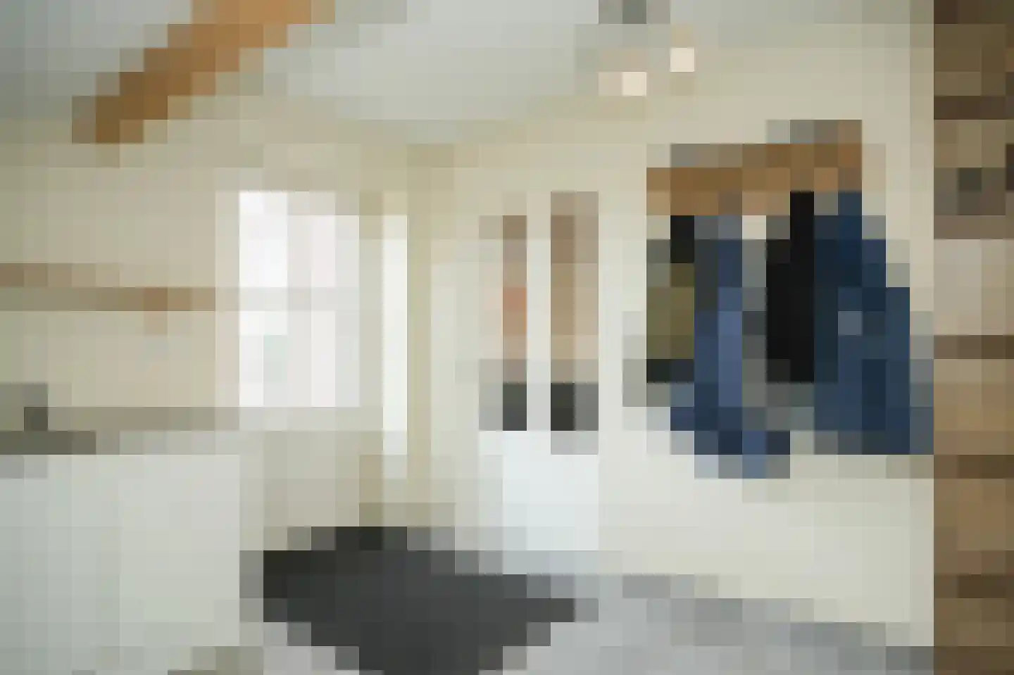 Meerenstraat 7 b Alem thumbnail 17