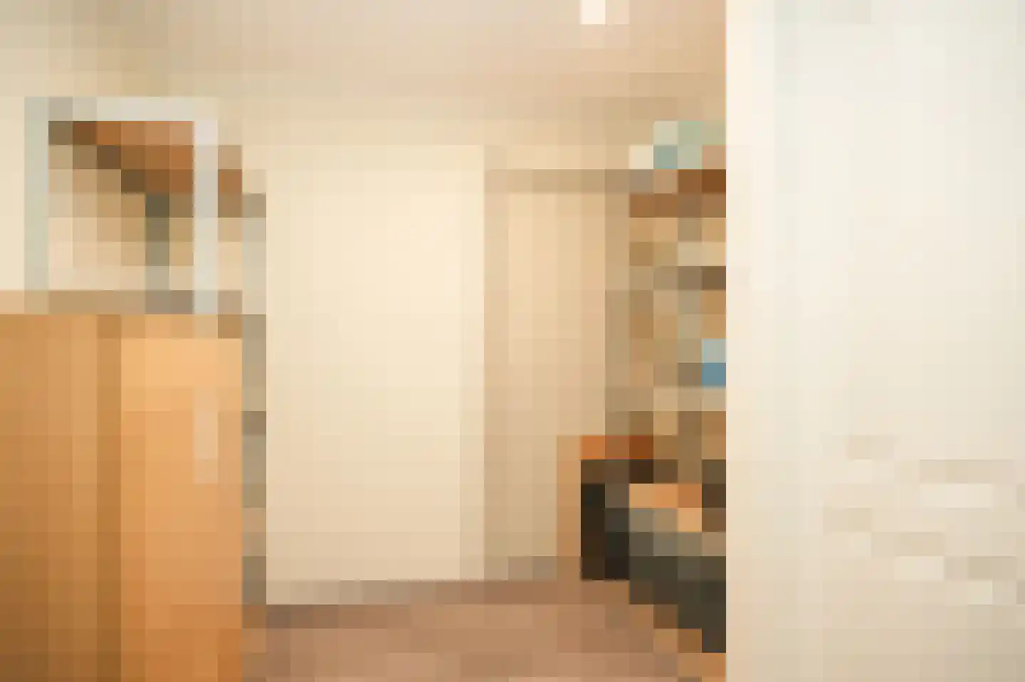 Meerenstraat 7 b Alem thumbnail 26