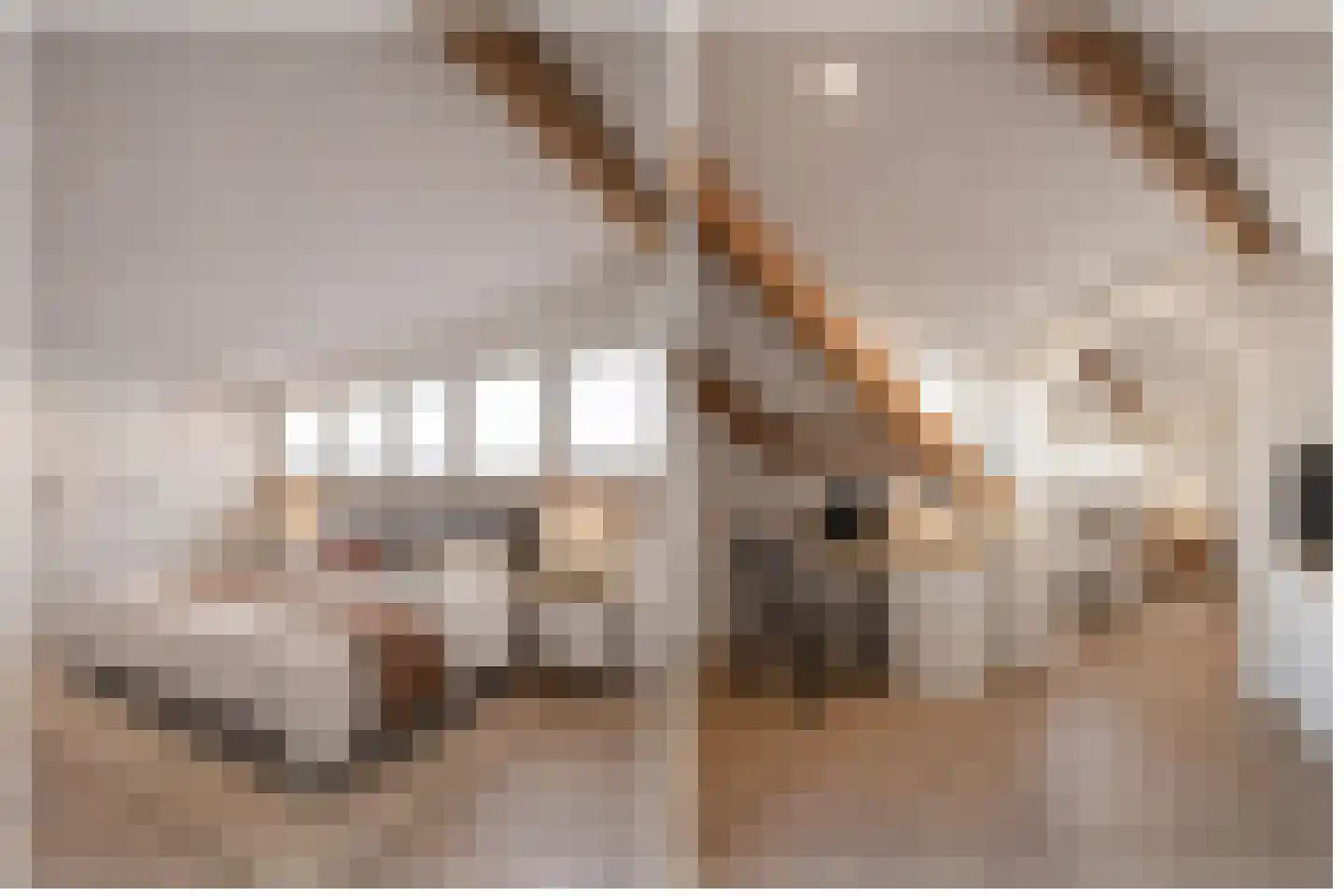 Meerenstraat 7 b Alem thumbnail 29