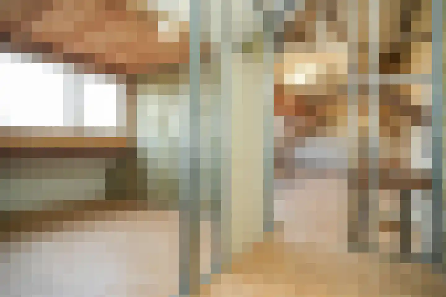 Meerenstraat 7 b Alem thumbnail 34